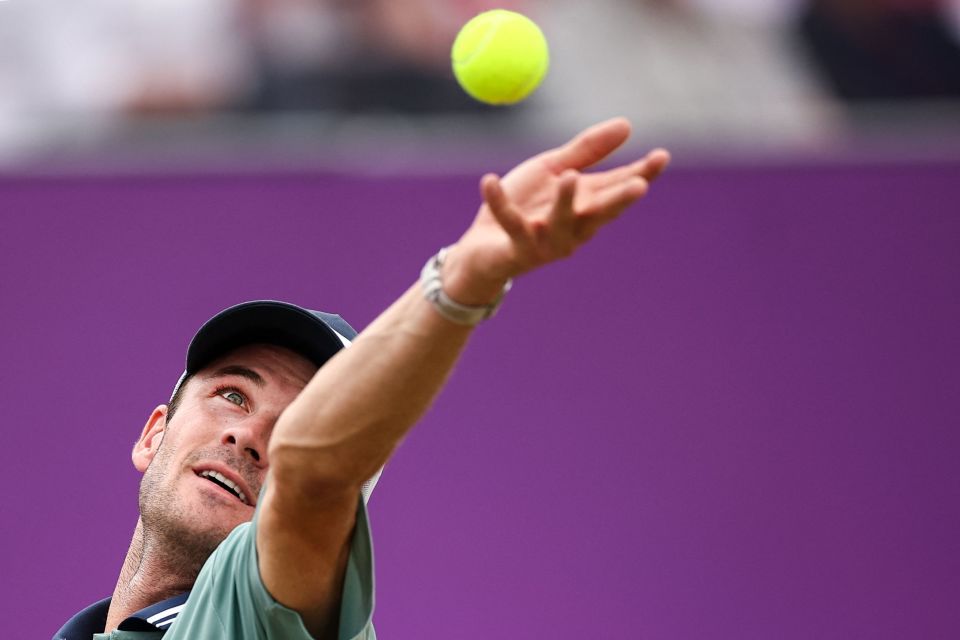 意味着他们 意味着他们