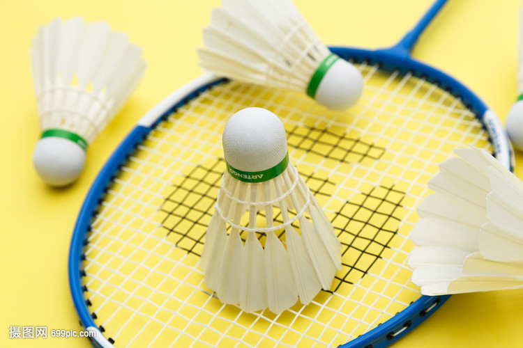 郑钦文如何 郑钦文如何